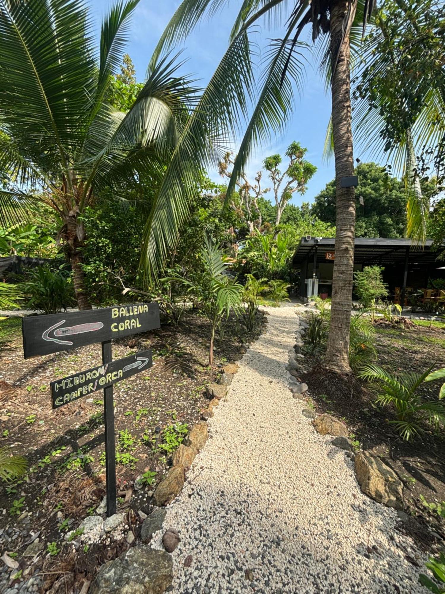Ds House Hotel Cabuya  Buitenkant foto
